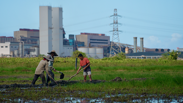 The program will also be available for streaming online.